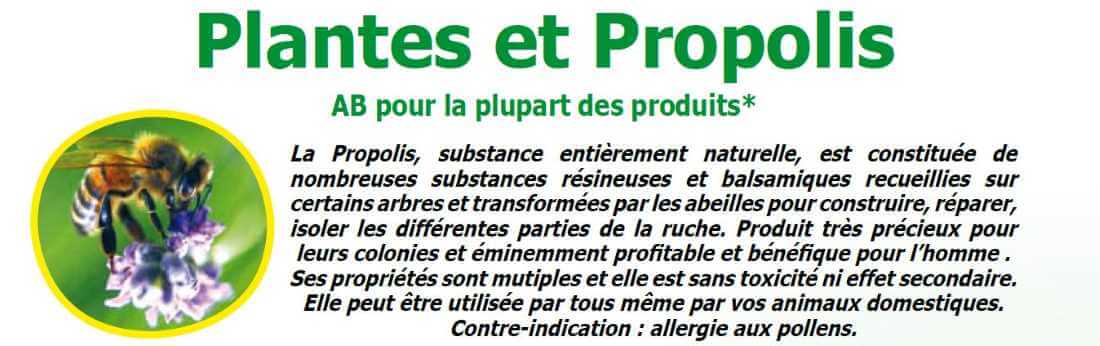 Propolis bio